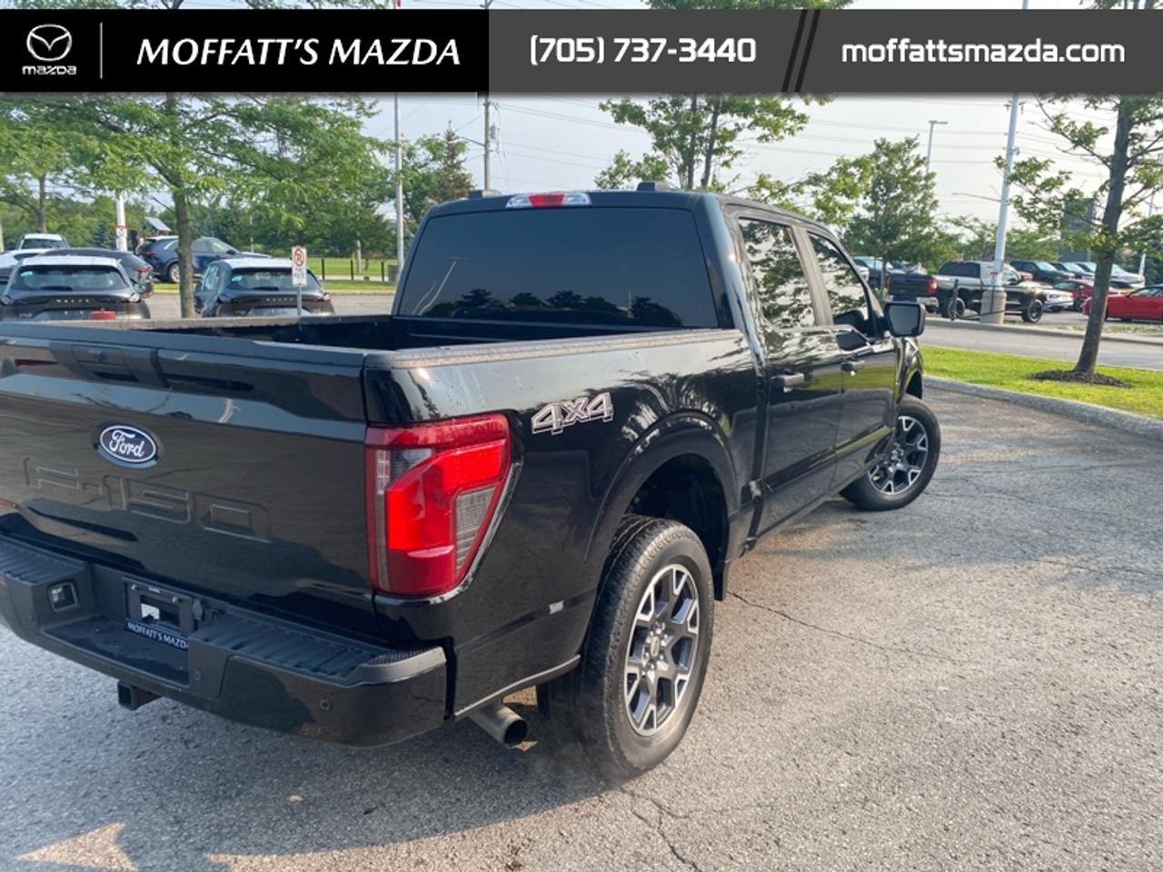 2024 Ford F-150 STX Photo