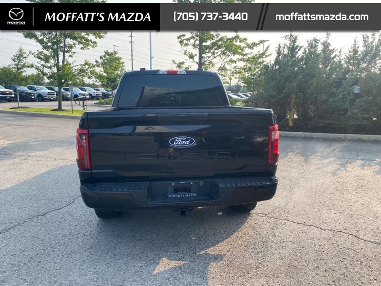 2024 Ford F-150 STX Photo