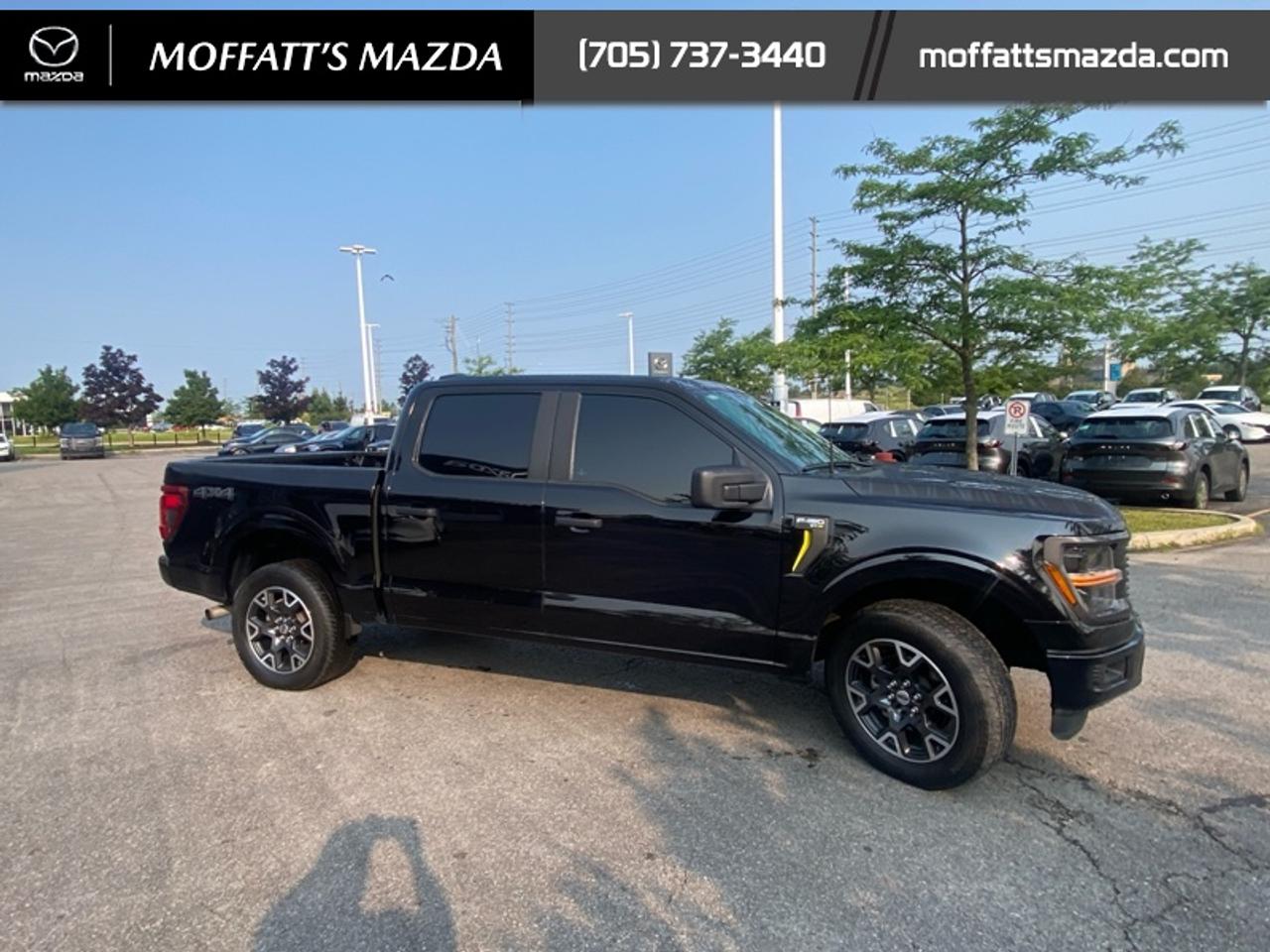 2024 Ford F-150 STX Photo