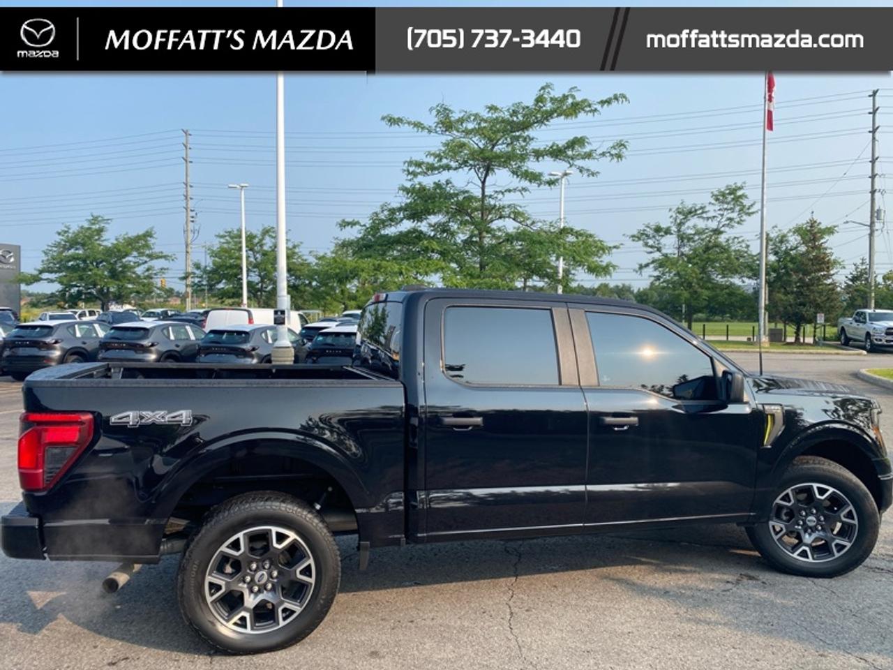 2024 Ford F-150 STX Photo