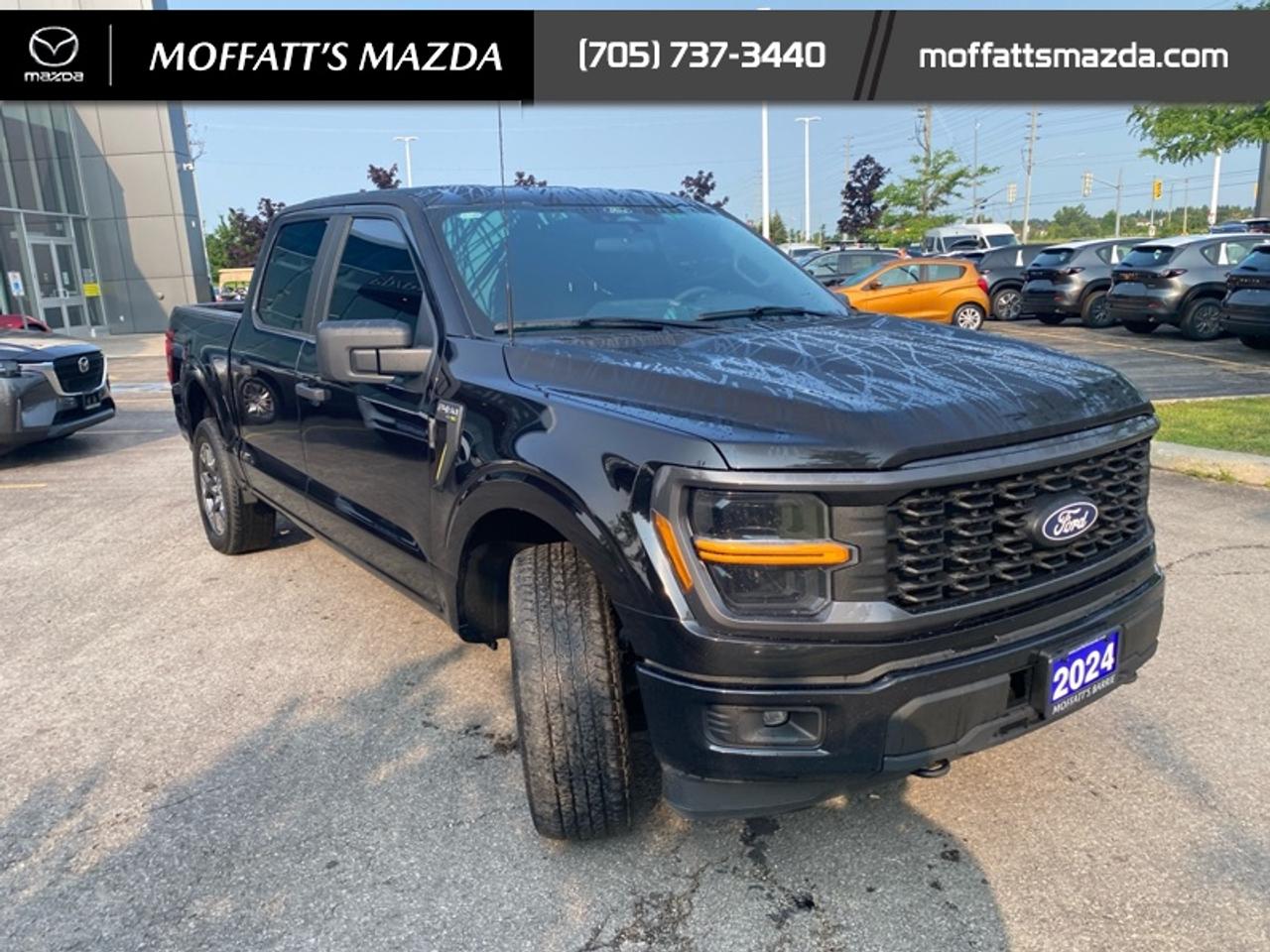 2024 Ford F-150 STX Photo