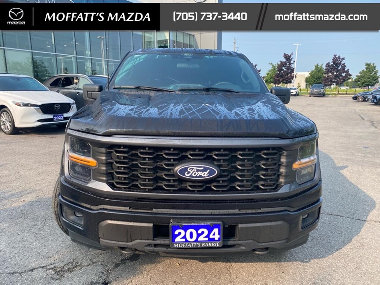2024 Ford F-150 STX Photo