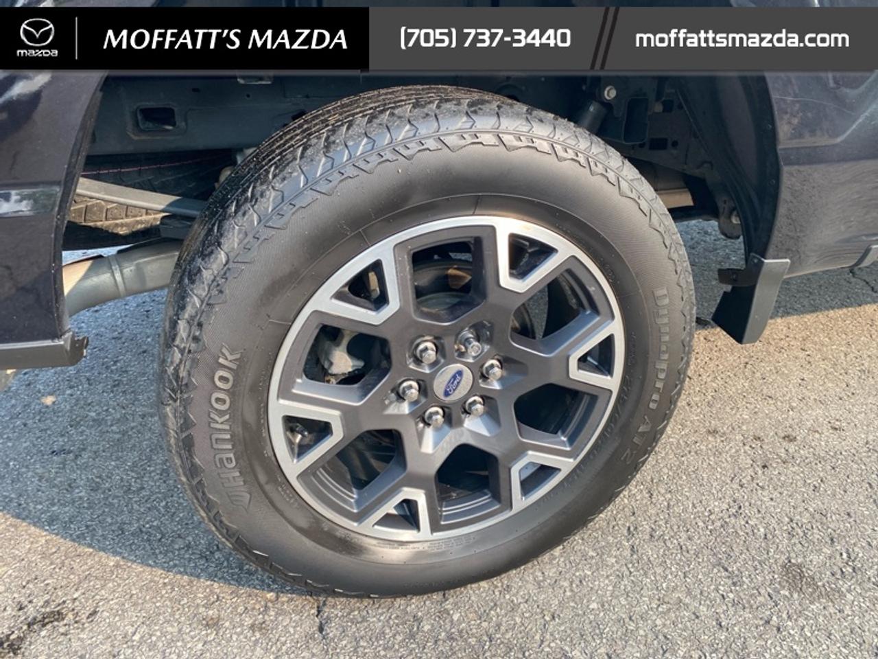 2024 Ford F-150 STX Photo
