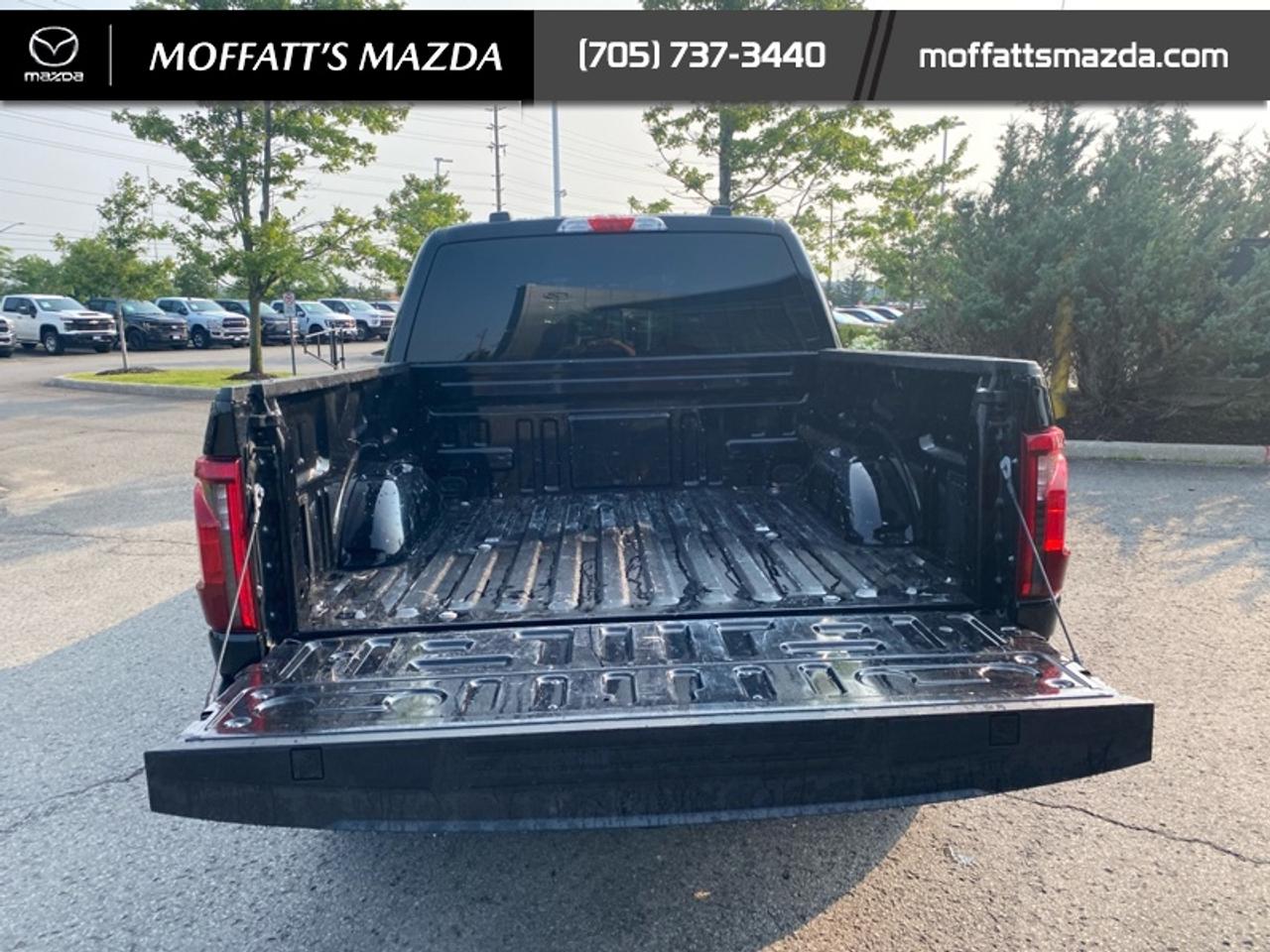 2024 Ford F-150 STX Photo