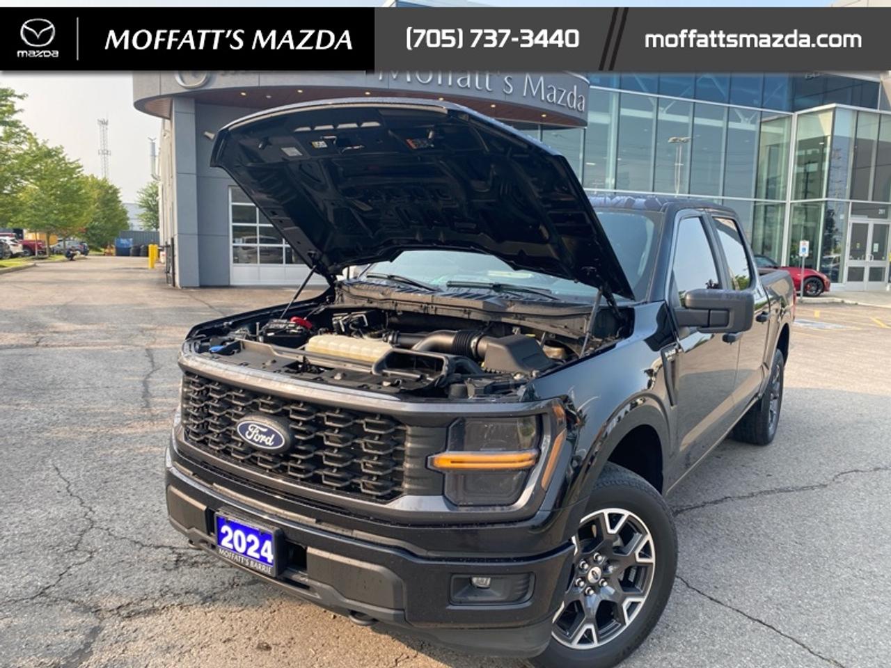 2024 Ford F-150 STX Photo