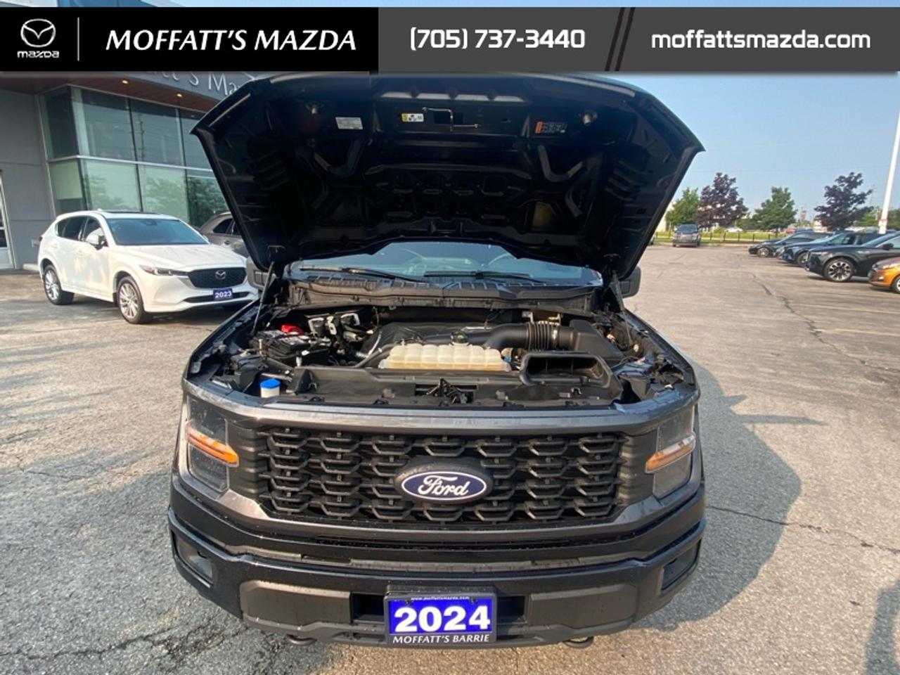 2024 Ford F-150 STX Photo