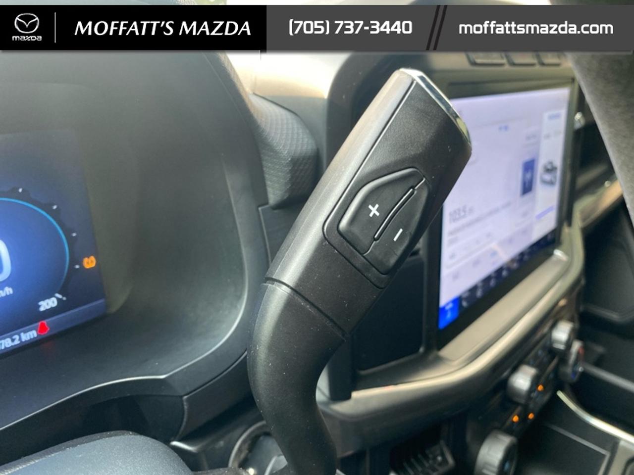 2024 Ford F-150 STX Photo