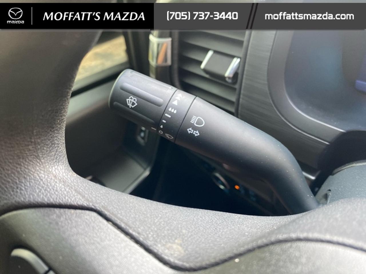 2024 Ford F-150 STX Photo