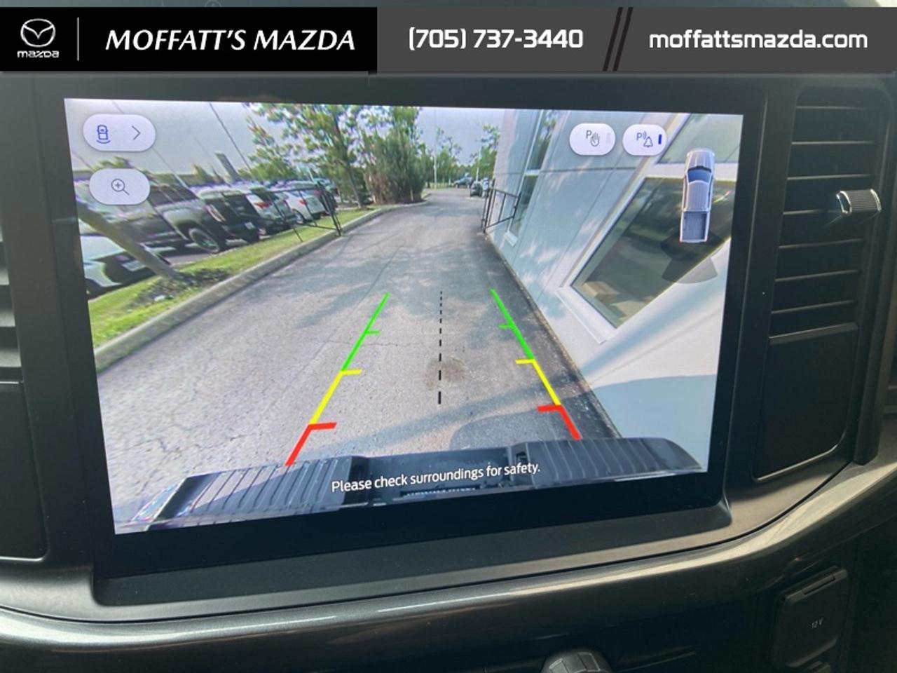 2024 Ford F-150 STX Photo
