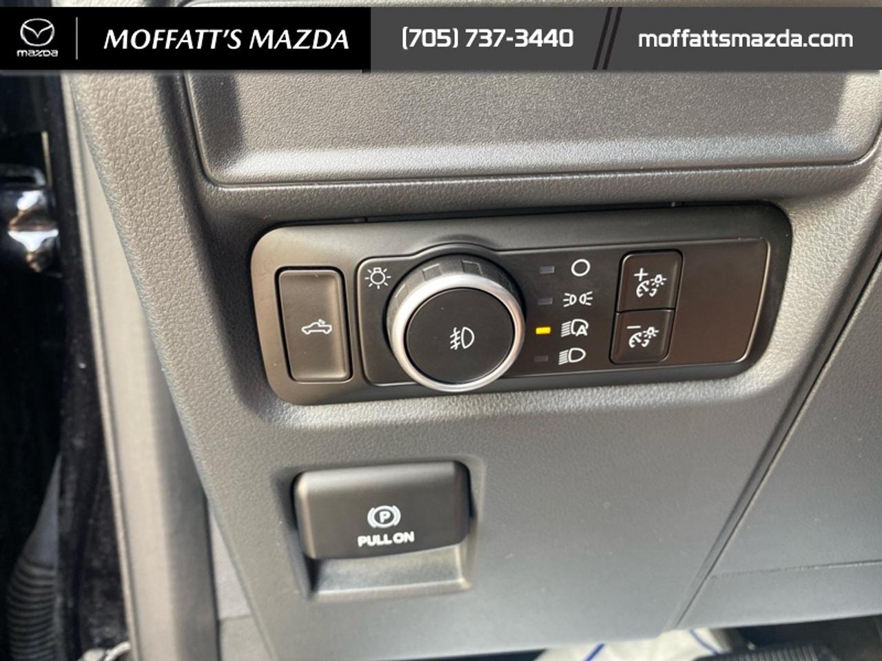 2024 Ford F-150 STX Photo