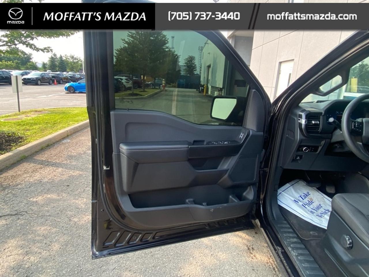 2024 Ford F-150 STX Photo