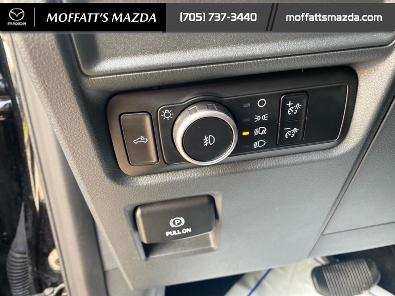 2024 Ford F-150 STX Photo