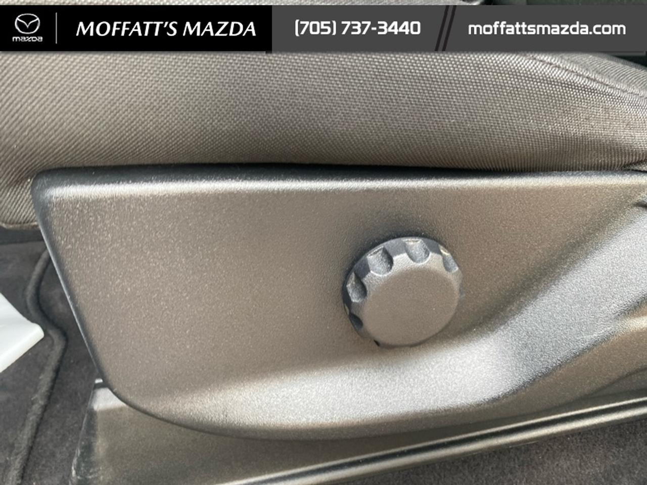 2024 Ford F-150 STX Photo