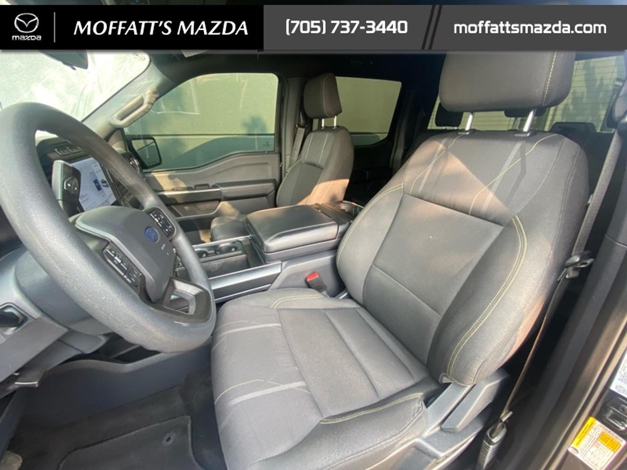 2024 Ford F-150 STX Photo