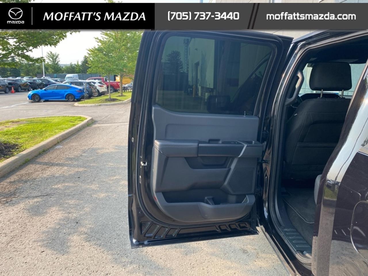 2024 Ford F-150 STX Photo