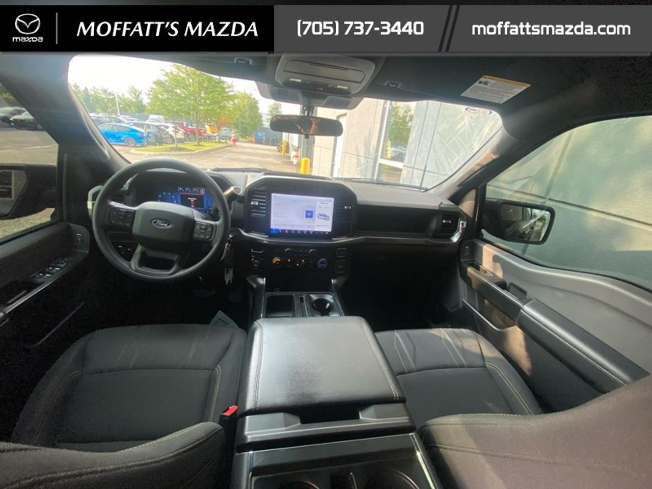2024 Ford F-150 STX Photo
