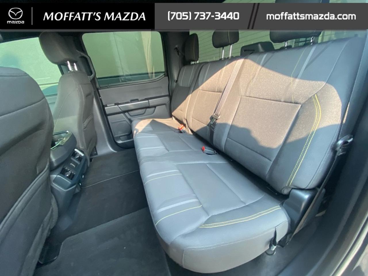 2024 Ford F-150 STX Photo
