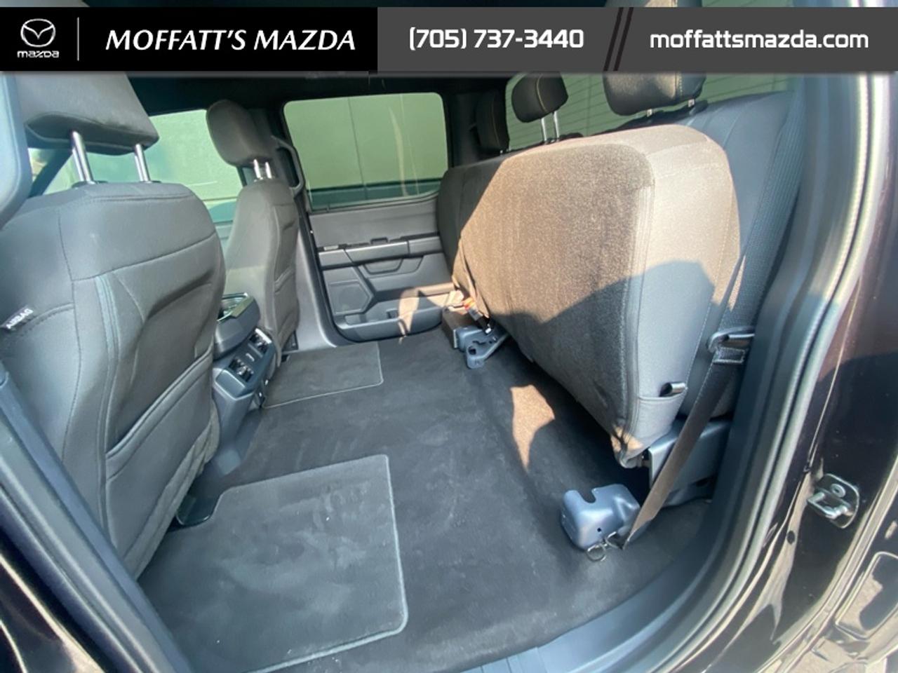 2024 Ford F-150 STX Photo