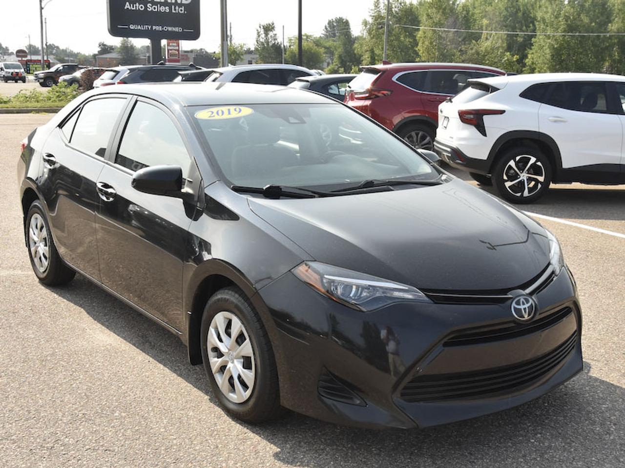 2019 Toyota Corolla SE Manual Photo