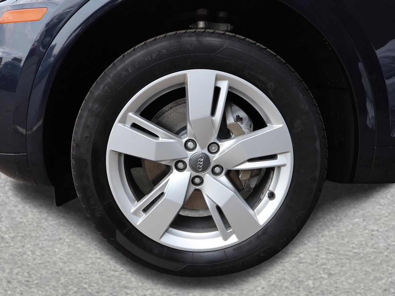 2019 Audi Q5 TECHNIK AWD CERTIFIED *ACCIDENT FREE* CAMERA NAV BLUETOOTH LEATHER HEATED SEATS PANO ROOF CRUISE ALLOYS Photo