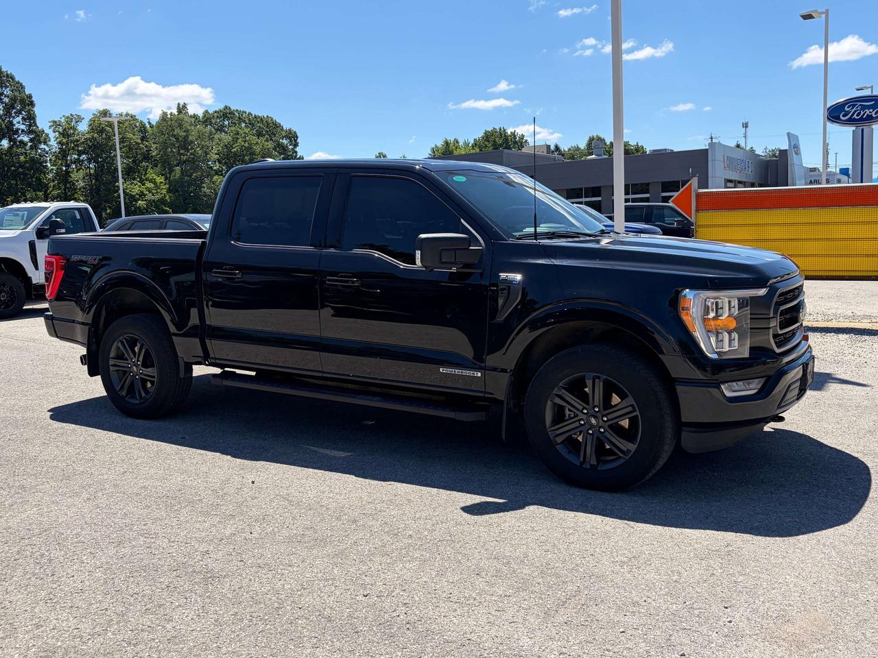 2023 Ford F-150 XLT Hybrid 4WD SuperCrew 5.5' Box Photo
