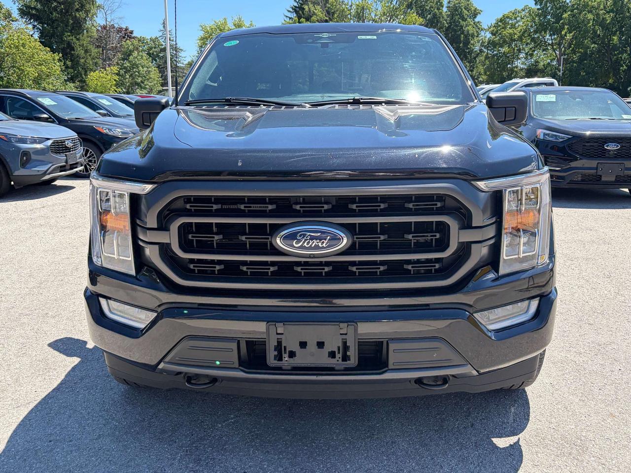 2023 Ford F-150 XLT Hybrid 4WD SuperCrew 5.5' Box Photo