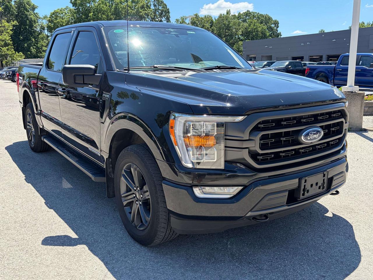 2023 Ford F-150 XLT Hybrid 4WD SuperCrew 5.5' Box Photo