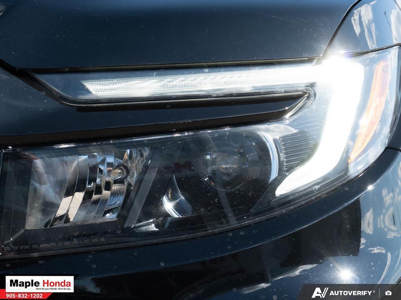 2024 Honda Passport Leather Seats| Sunroof| Apple Car Play| Android Au Photo