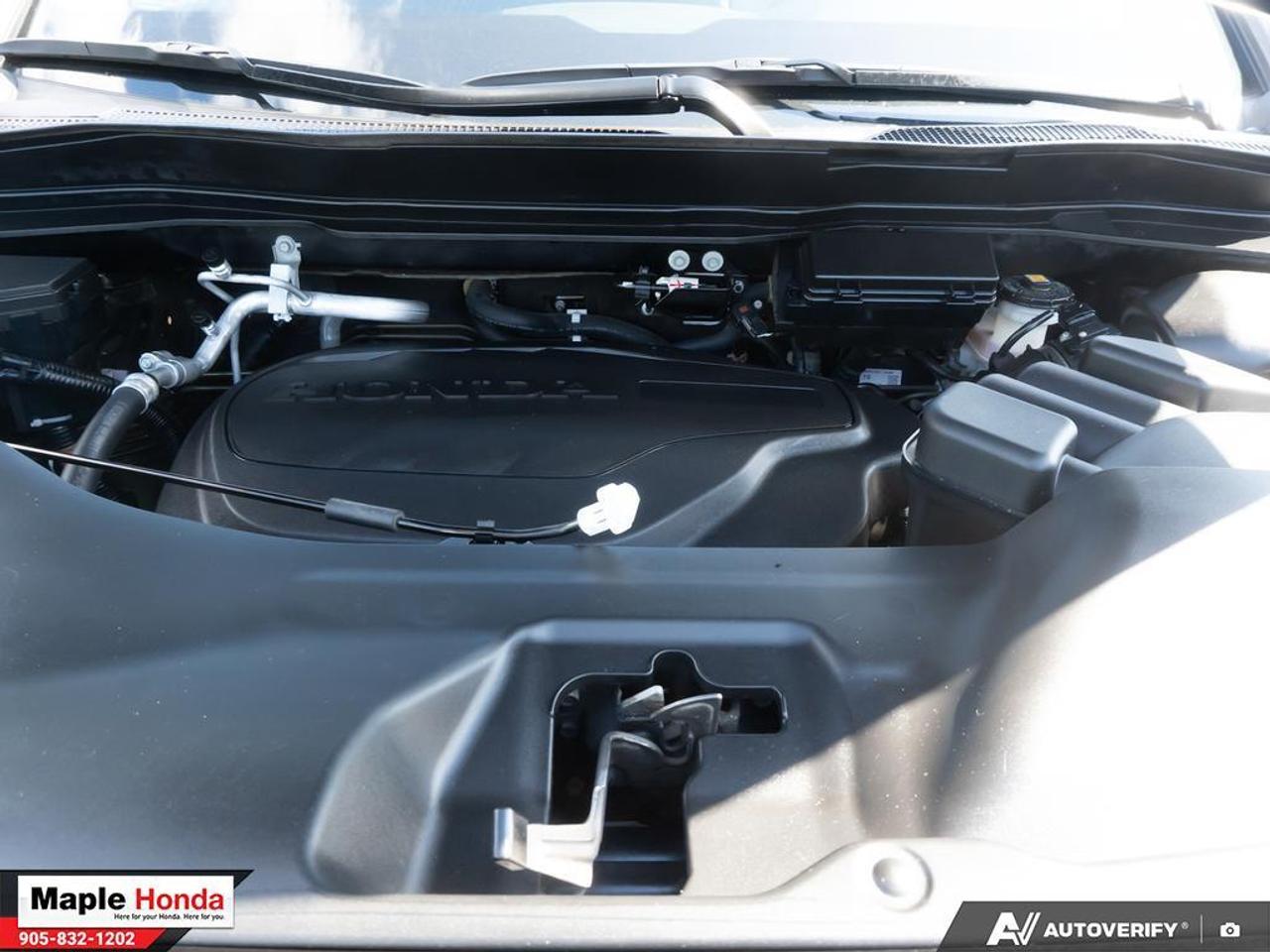 2024 Honda Passport Leather Seats| Sunroof| Apple Car Play| Android Au Photo