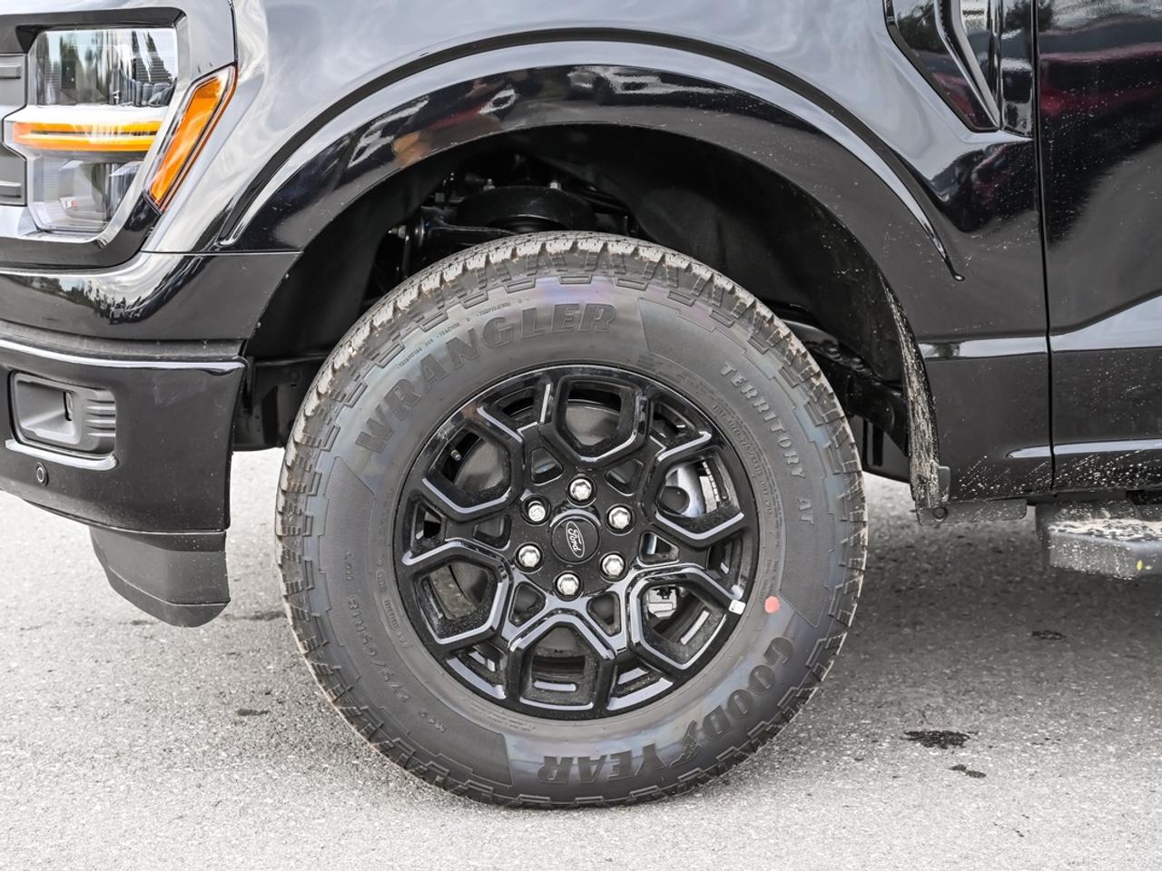 2026 Ford F-150 XLT Photo