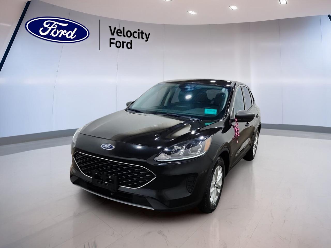// SINGLE OWNER! //

Meet the 2022 Ford Escape SE FWD, a smart compact SUV that fits daily life with ease. This used model at Velocity Ford in Moose Jaw has had a single owner, as reported by CARFAX Canada. With 38,241 km, a black exterior, grey interior, four doors, and automatic transmission, it offers practical value and confidence.

The 2022 Ford Escape SE FWD is built for drivers who want comfort, useful technology, and simple efficiency in one well-sized SUV. Its front-wheel drive layout helps keep the drive smooth and predictable, while its clean design, rear spoiler, and tinted windows give it a modern look on city streets and highways.

FEATURES OF THE Escape SE FWD

»» Black exterior with sporty rear spoiler
»» Automatic transmission for smooth daily driving
»» Front-wheel drive for balanced road manners
»» Single-owner history adds extra confidence

ADVANCED SAFETY FEATURES

»» Backup camera helps with reversing visibility
»» Lane departure warning supports safer travel
»» Blind spot monitor aids lane changes
»» Side and head airbags add protection

PERFORMANCE AND EFFICIENCY

»» Automatic transmission delivers smooth gear changes
»» Front-wheel drive supports confident handling
»» Power steering helps easy urban manoeuvres
»» Limited slip differential improves traction response

COMFORT AND CONVENIENCE

»» Heated front seats for cold mornings
»» Front air conditioning keeps cabin comfortable
»» Cruise control helps on longer trips
»» Power windows add everyday convenience

TECHNOLOGY AND CONNECTIVITY

»» Bluetooth integration supports hands-free communication
»» Steering wheel audio controls feel intuitive
»» Satellite radio expands entertainment choices
»» WiFi hotspot keeps devices connected

CARGO SPACE

»» Rear trunk access makes loading simple
»» Four-door layout improves passenger entry
»» Spare tire adds travel peace
»» Flexible SUV design suits daily errands

AWARDS & RECOGNITIONS

»» Top Safety Pick, Insurance Institute for Highway Safety, 2022

WHAT OTHER OWNERS LIKE

»» Easy driving manners in daily traffic
»» Comfortable ride for commuting and trips
»» Useful safety technology builds confidence
»» Practical cargo room for active lifestyles

This 2022 Ford Escape SE FWD brings together the features many drivers want most in a used SUV. You get heated front seats, a backup camera, lane departure warning, blind spot monitoring, Bluetooth integration, and an 8-speed automatic transmission, all in a practical package that feels ready for daily use.

Inside, the 2022 Ford Escape SE FWD keeps things simple and user-friendly. The grey cabin is easy to live with, and the controls are placed where you need them. Push button start, automatic headlights, electric mirrors, rear window defroster, and automatic door locks add convenience without overcomplicating the driving experience.

This Ford is also a strong choice for families and commuters who value peace of mind. Anti-lock brakes, stability control, child safety locks, tire pressure monitoring, multiple airbags, and a passenger airbag sensor all help support safer travel. In Moose Jaw, that kind of practical confidence matters through changing seasons.

If you want a compact SUV that looks sharp, drives smoothly, and includes the right everyday features, this 2022 Ford Escape SE FWD deserves a close look at Velocity Ford. Its single-owner history, low-kilometre appeal, and well-rounded equipment make it a smart used vehicle opportunity.

This 2022 Ford Escape SE FWDs VIN is: 1FMCU0G66NUA76619.
