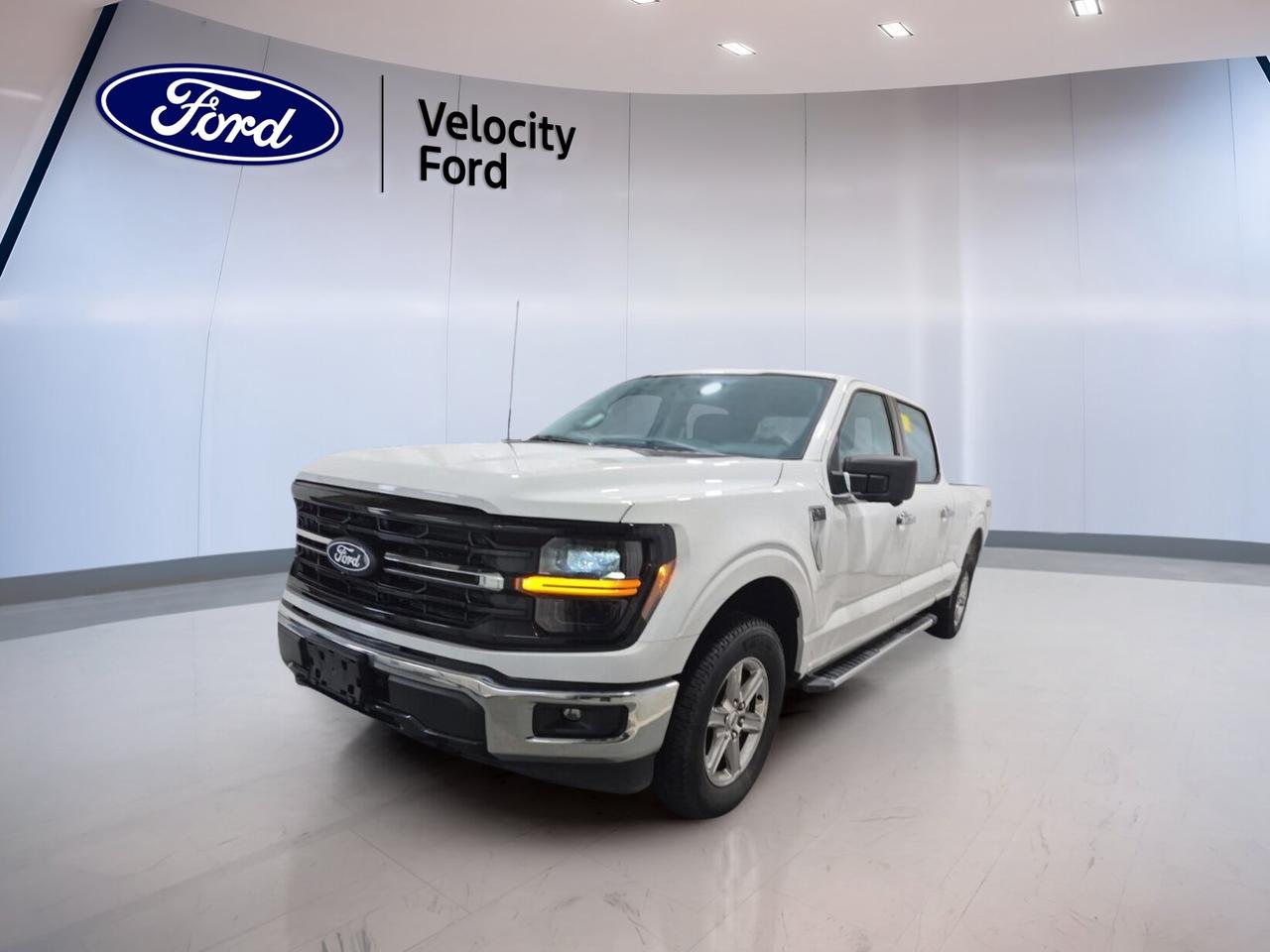 Built to work hard and drive with confidence, this used 2024 Ford F-150 XLT 4WD SuperCrew 6.5 Box is ready for life in Moose Jaw. It blends strong capability, smart safety, and everyday comfort in one proven full-size pickup. With 43,790 km, a white exterior, black interior, four full doors, and a 3.5-litre unleaded engine, this truck is well equipped for both jobsite duty and family travel.

FEATURES OF THE F-150 XLT 4WD SuperCrew 6.5 Box
»» SuperCrew cab adds roomy rear seating
»» 6.5-foot box supports bigger cargo loads
»» 4WD helps on rough surfaces
»» XLT trim balances value and utility

TRUCK FEATURES
»» Towing capacity rated at 4,626 kg
»» Rear tow hook adds useful recovery support
»» Box length helps carry longer items
»» Side steps ease cab entry

ADVANCED SAFETY FEATURES
»» Backup camera helps with reversing views
»» Blind spot monitor adds lane awareness
»» Lane departure warning supports safer travel
»» Side and head airbags enhance protection

PERFORMANCE AND EFFICIENCY
»» 3.5-litre unleaded engine delivers strong output
»» Automatic transmission provides smooth shifting
»» Dual shift mode adds control options
»» Four-wheel drive improves traction in Canada

COMFORT AND CONVENIENCE
»» Dual-zone climate control improves cabin comfort
»» Power driver seat adds easy adjustment
»» Passenger lumbar support helps reduce fatigue
»» Power windows add daily convenience

TECHNOLOGY AND CONNECTIVITY
»» Navigation system helps guide every trip
»» Bluetooth integration supports hands-free calling
»» WiFi hotspot keeps devices connected
»» Steering wheel audio controls simplify access

CARGO SPACE
»» Large bed suits work gear well
»» SuperCrew cabin adds secure interior storage
»» Rear trunk access listed for convenience
»» Spare tire supports travel confidence

AWARDS & RECOGNITIONS
»» North American Truck of the Year, 2024

WHAT OTHER OWNERS LIKE
»» Strong towing ability for daily tasks
»» Comfortable ride for a full-size truck
»» Spacious cabin for family and gear
»» Useful technology that feels easy to use

This 2024 Ford F-150 XLT 4WD SuperCrew 6.5 Box stands out with a practical mix of toughness and comfort. The white exterior gives it a clean, professional look, while the black interior keeps the cabin simple and durable. Heated power mirrors, electric mirrors, tinted windows, fog lights, LED headlamps, and chrome wheels add style and function without taking away from its work-ready purpose.

Inside, this 2024 Ford F-150 XLT 4WD SuperCrew 6.5 Box is set up for long days and easy driving. Front air conditioning, automatic climate control, cruise control, adjustable steering, and an auto-dimming rearview mirror all help make each trip more relaxed. Cloth seating, driver lumbar support, and a power driver seat add welcome comfort whether you are commuting, hauling tools, or heading out on the highway.

This 2024 Ford F-150 XLT 4WD SuperCrew 6.5 Box also brings solid peace of mind. Anti-lock brakes, stability control, child safety locks, automatic door locks, tire pressure monitoring, automatic headlights, and a full set of key airbags support confident driving in changing road conditions. For drivers who want a capable used truck from Velocity Ford in Moose Jaw, this F-150 is a smart and dependable choice.

This 2024 Ford F-150 XLT 4WD SuperCrew 6.5 Boxs VIN is: 1FTFW3L82RKD36648.