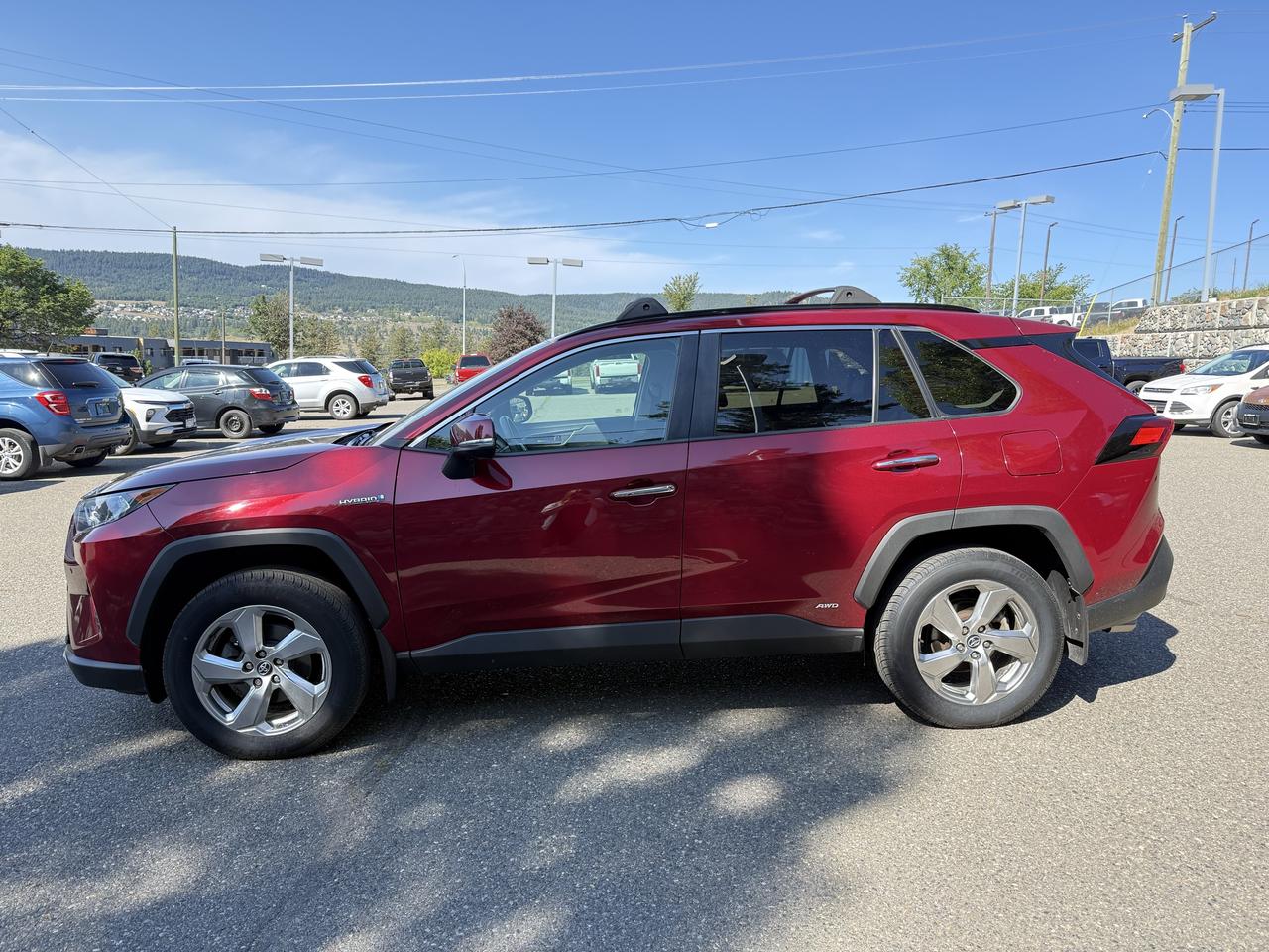 2020 Toyota RAV4 LIMITED  Photo