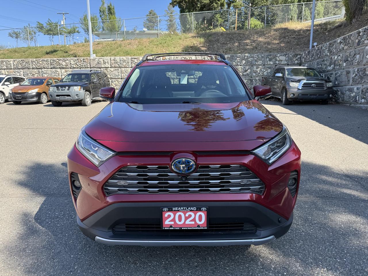 2020 Toyota RAV4 LIMITED  Photo