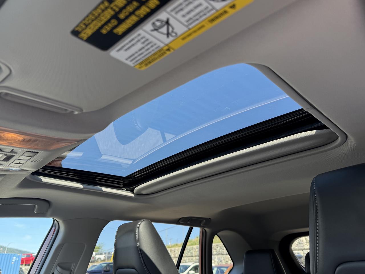 2020 Toyota RAV4 LIMITED  Photo
