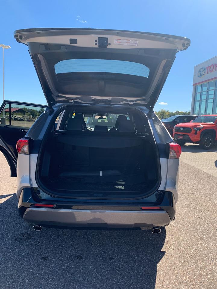 2020 Toyota RAV4 Hybrid XSE Photo