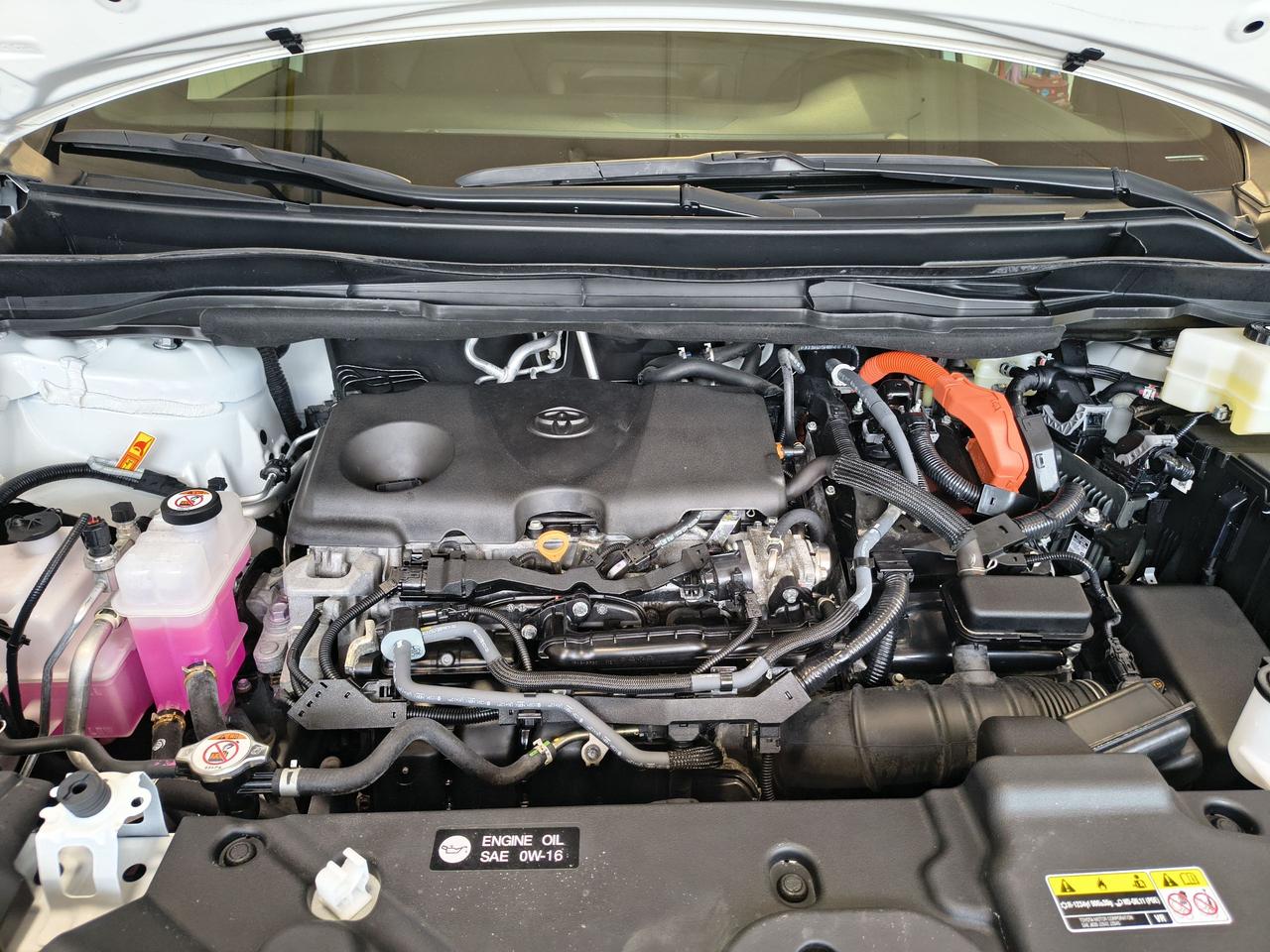 2025 Toyota Sienna XSE Photo0