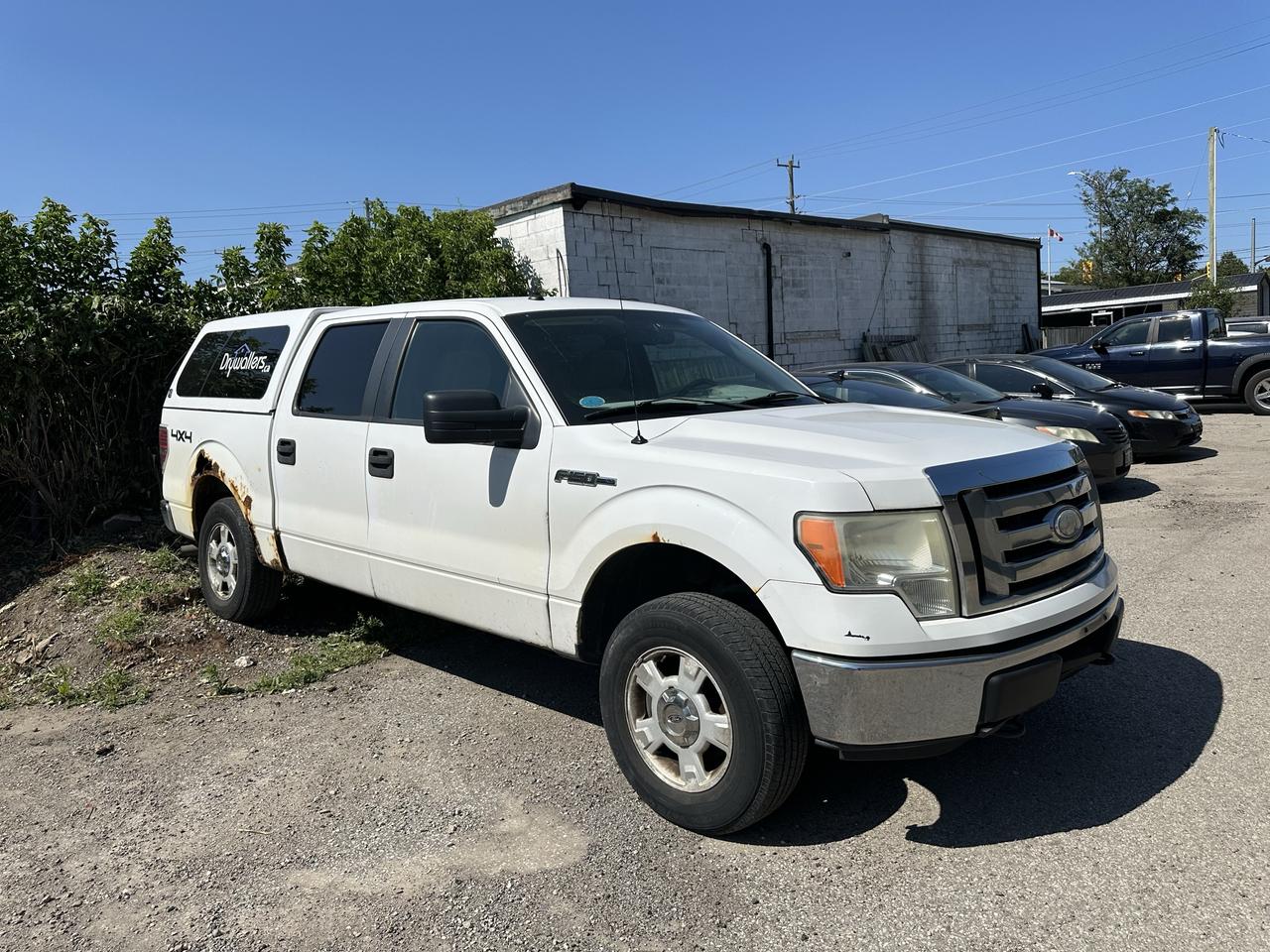 Used 2009 Ford F-150 FX4 for sale in Guelph, ON