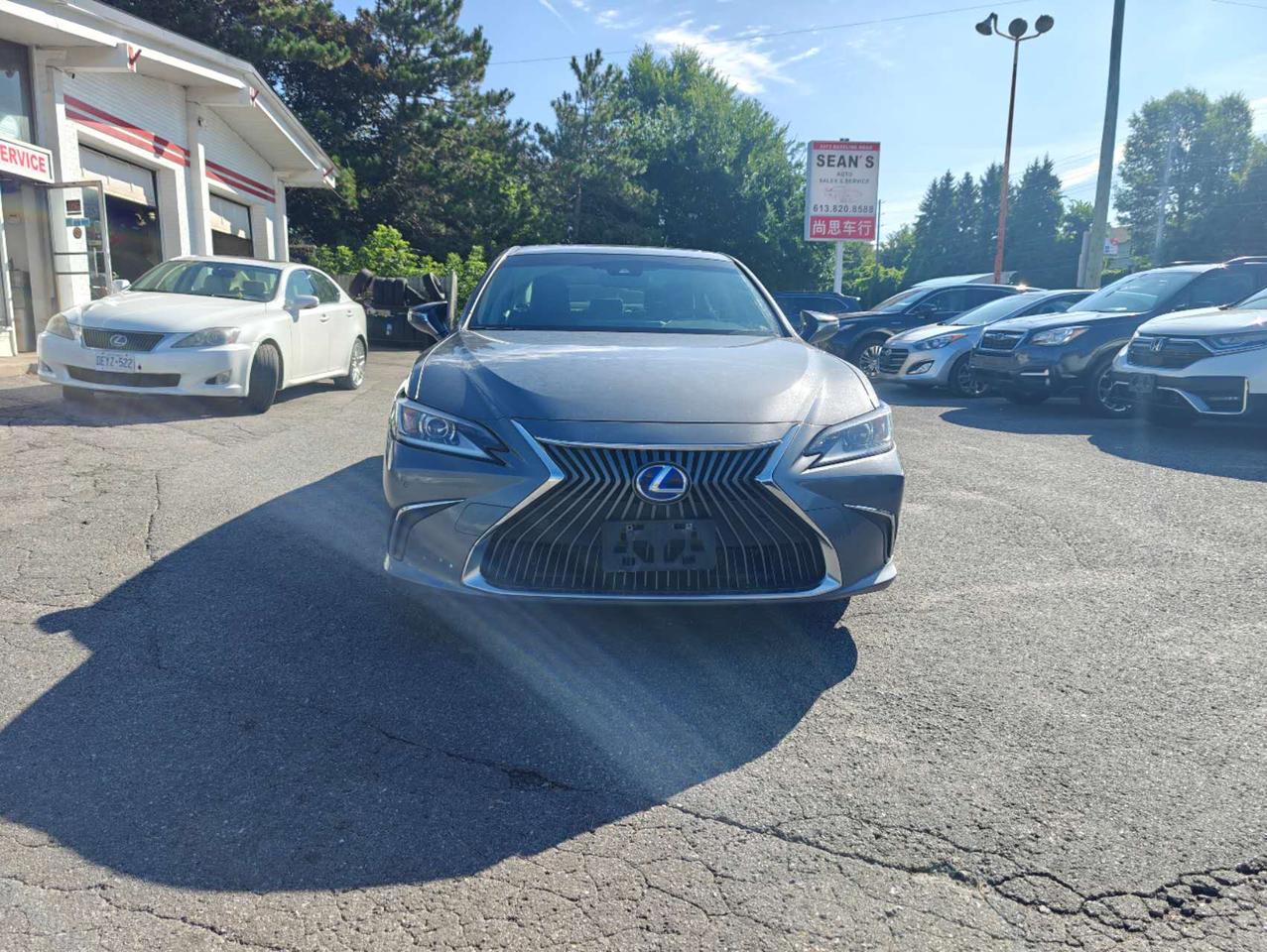2019 Lexus ES 300h FWD Photo