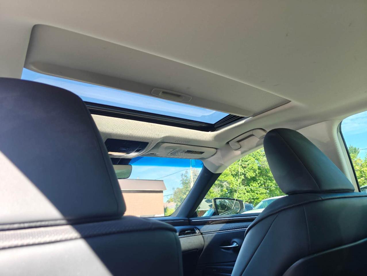 2019 Lexus ES 300h FWD Photo