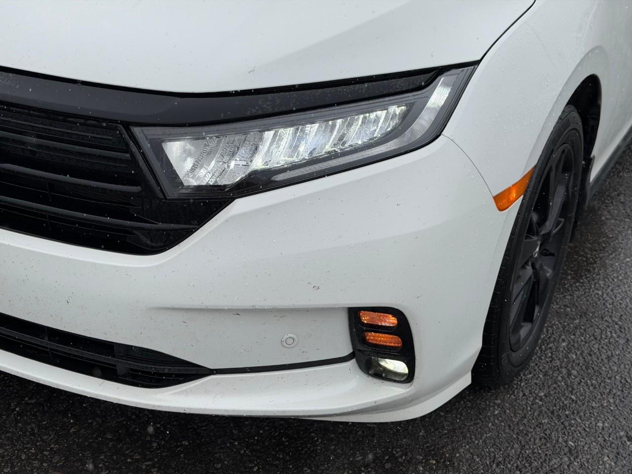 2023 Honda Odyssey Black Edition Auto Photo