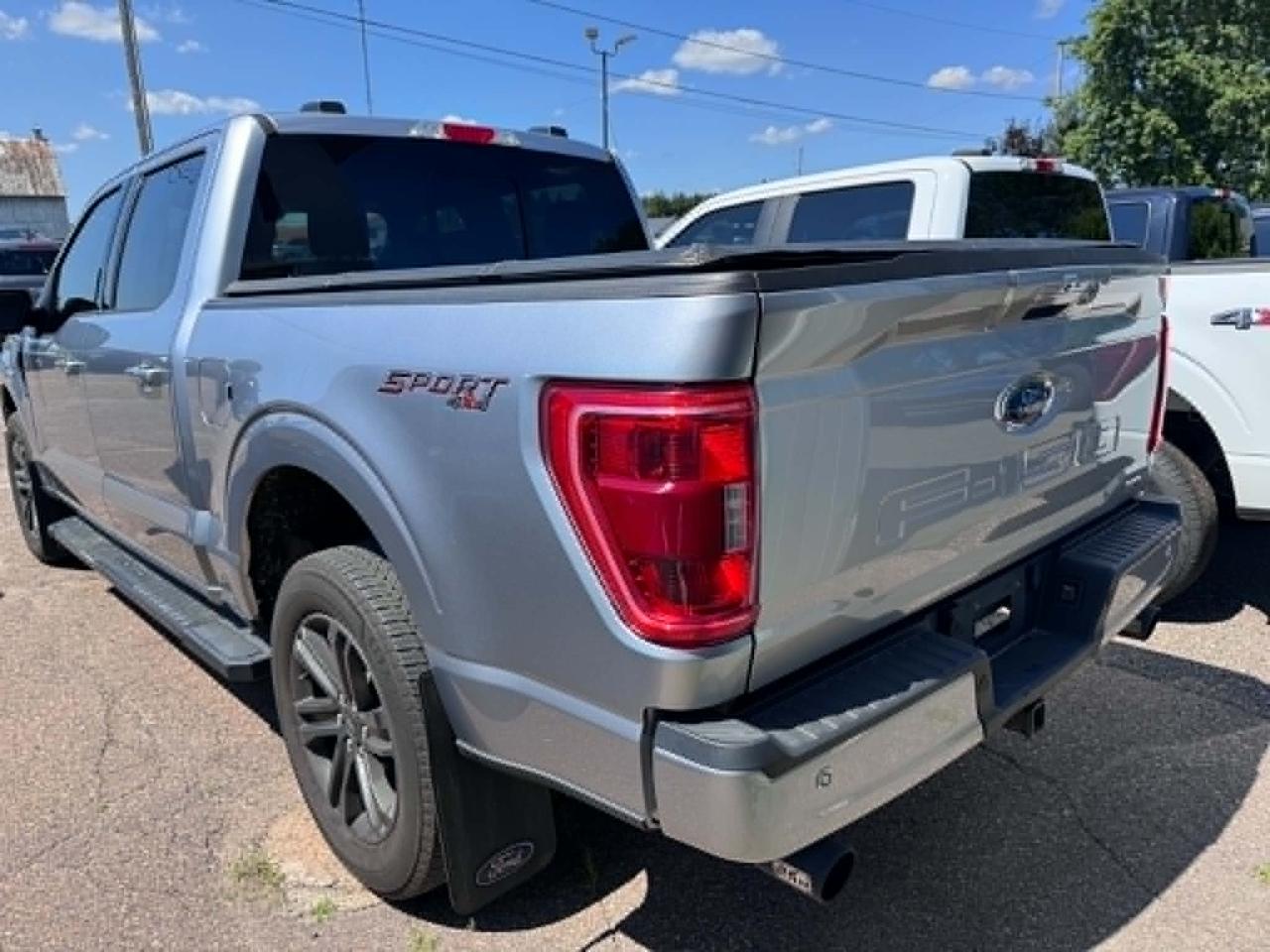 2022 Ford F-150 XLT Photo