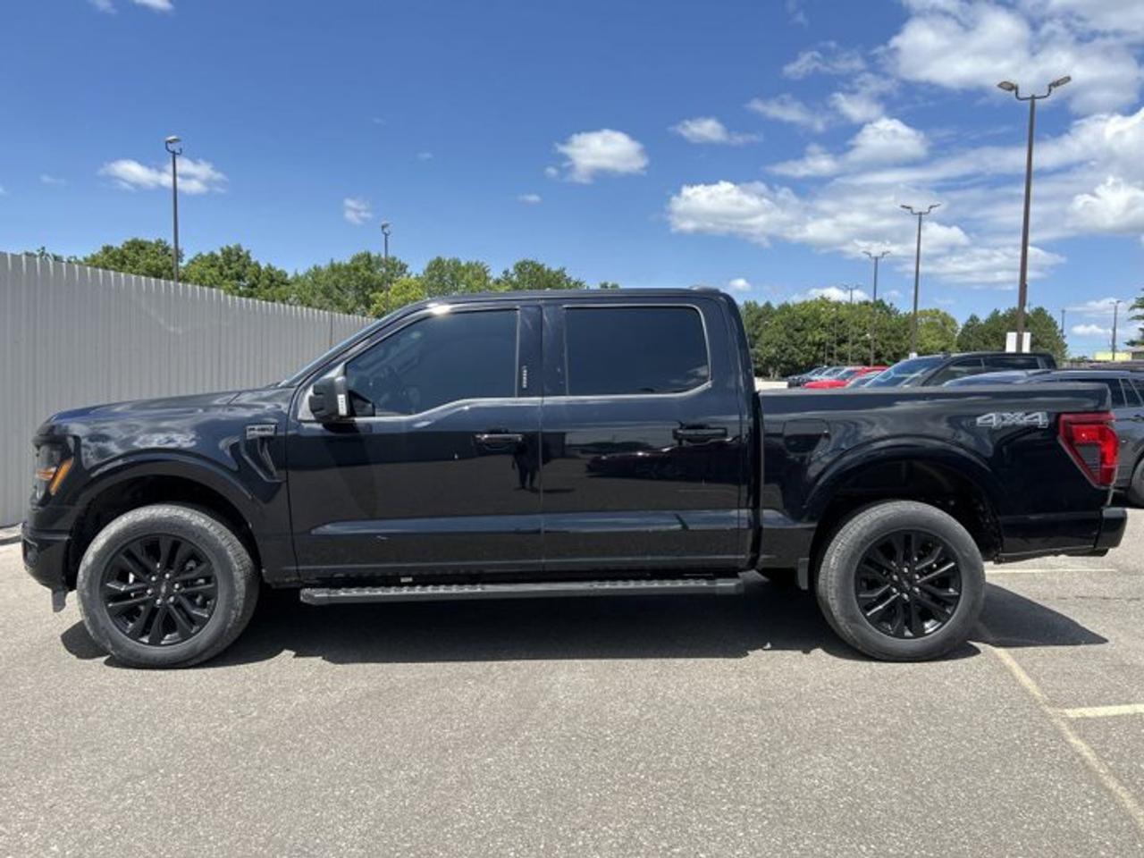 2024 Ford F-150 XLT SuperCrew 5.5' Box 4WD | One Owner | No Accidents Photo