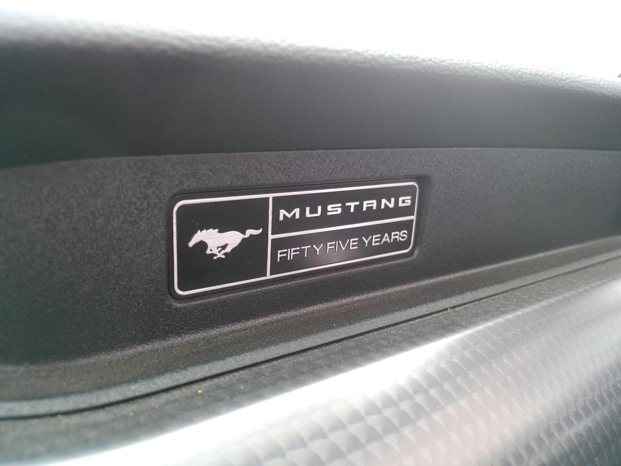 2020 Ford Mustang GT Premium Convertible Photo