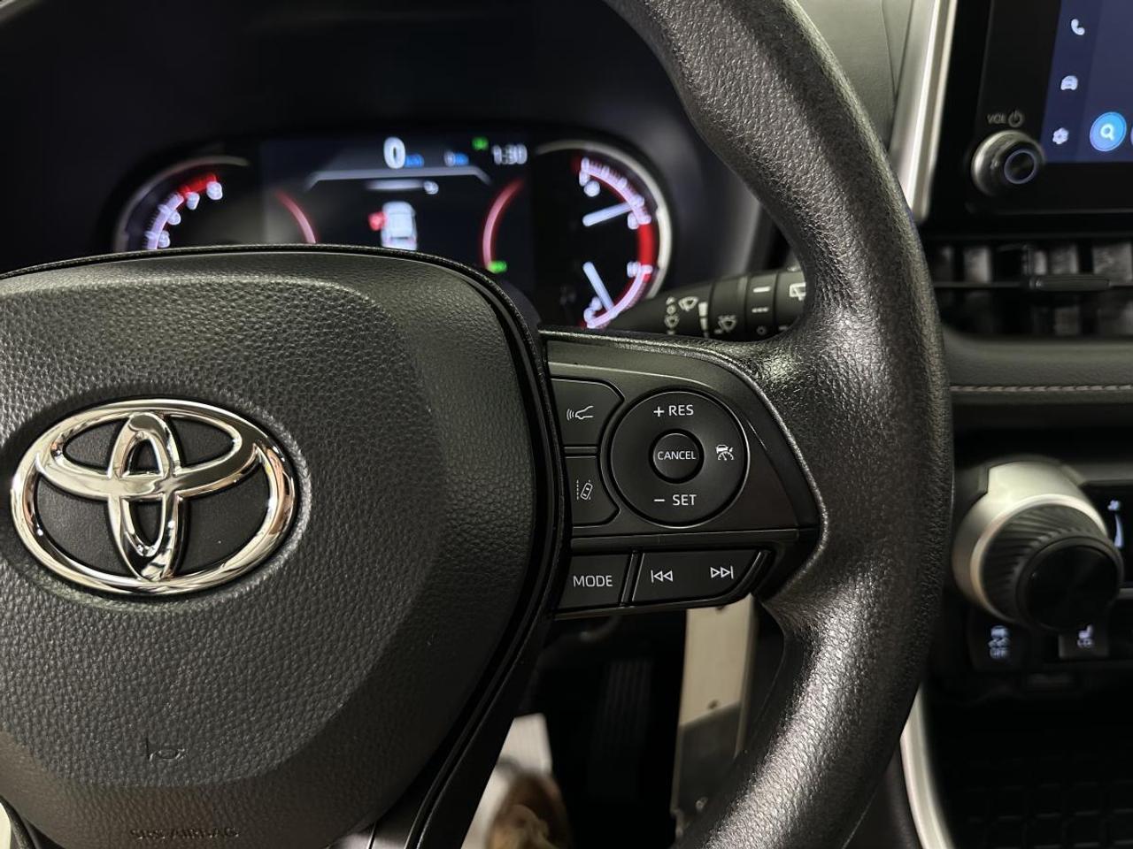 2025 Toyota RAV4 LE AWD Photo