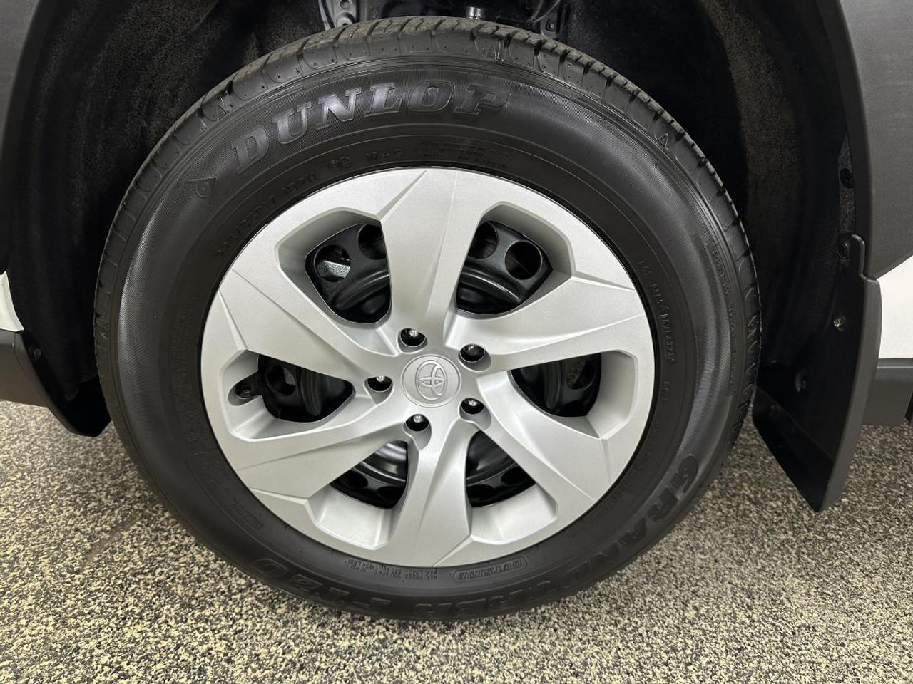 2025 Toyota RAV4 LE AWD Photo