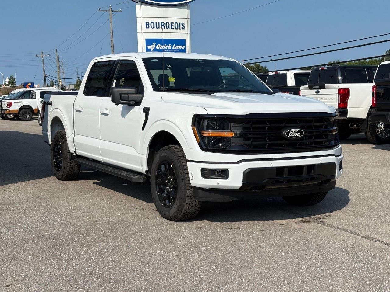 2026 Ford F-150 XLT 4WD SuperCrew 5.5' Box Photo4