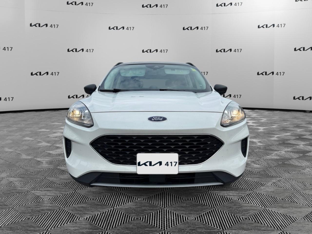 2022 Ford Escape SE AWD Photo