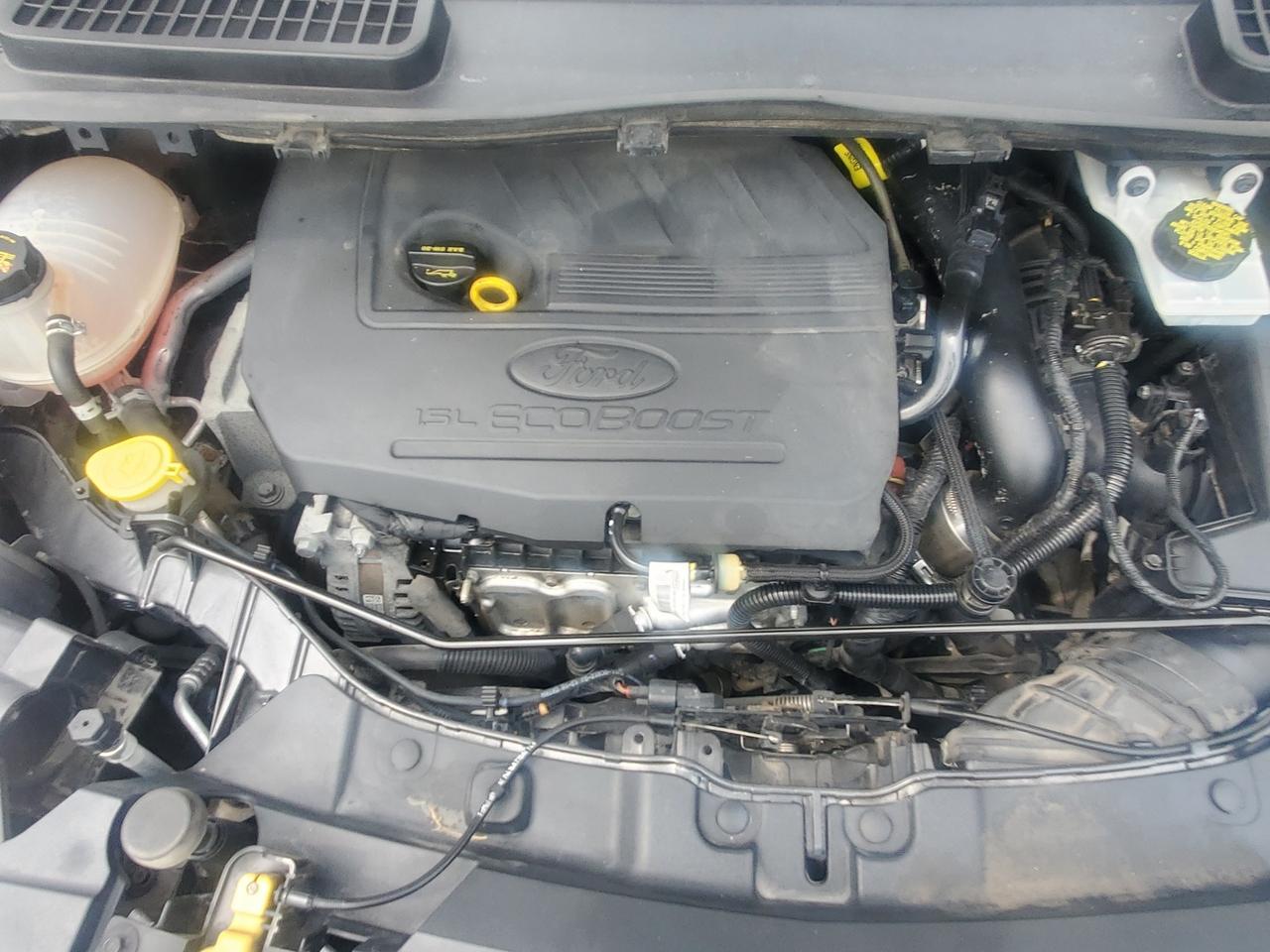 2018 Ford Escape SE Photo