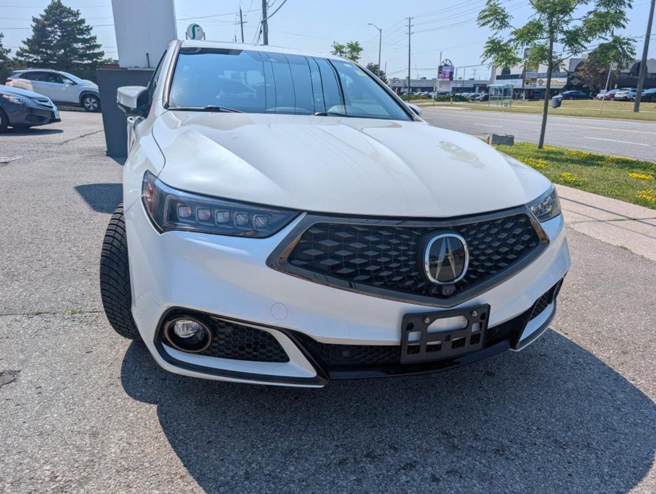 2019 Acura TLX SH-AWD V6 W/ADVANCE * ELITE A-SPEC /RED LEATHER Photo